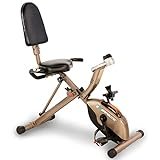 EXERPEUTIC Gold 525 X LR Pieghevole Liege Recumbent Bike con 181 kg Maxi malem supportato Cyclette, Nero/Grigio, Taglia Unica